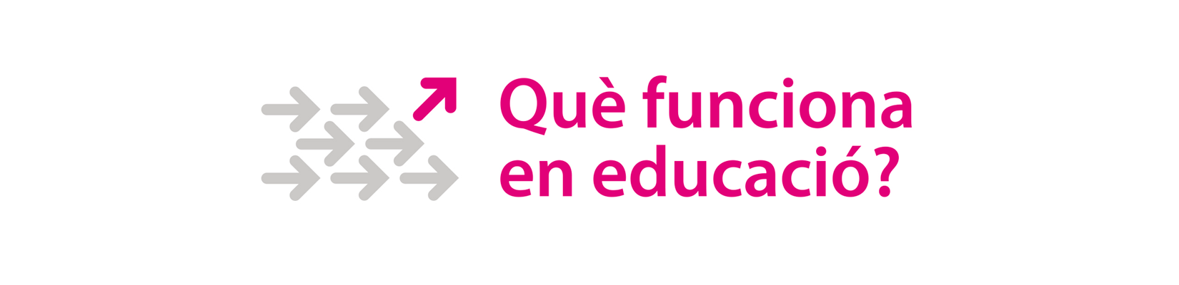 Què funciona en educació?